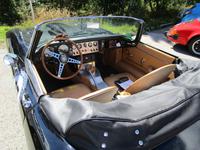Jaguar am Col