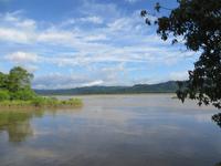 1541  Chitwan-Nationalpark - Elefanten-Safari