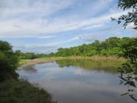 1542  Chitwan-Nationalpark - Elefanten-Safari