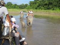 1549  Chitwan-Nationalpark - Elefanten-Safari