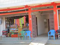 1608 Chitwan-Nationalpark - Rundfahrt mit Ochsenkarren