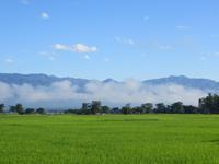1613 Chitwan-Nationalpark - Rundfahrt mit Ochsenkarren