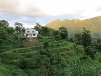 1792 Begnas-Lake - Wanderung in der Umgebung