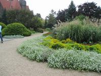 Blütenpracht im botanischen Garten