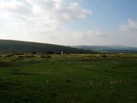 010_Dartmoor