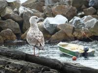 Riomaggiore