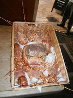 Fischmarkt St.Tropez 