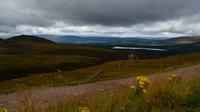 266 Cairngorm Mountains