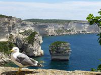 Bonifacio - Blick zum Sandkorn