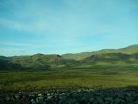 Weite Teile der isländischen Landschaft sind von sattgrünen Moosen bedeckt.