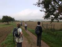 Blick über die Eifel 