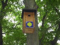 Brutkasten für Zugvögel?