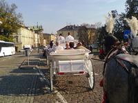 mit der Kutsche nach Kazimierz