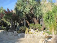 Exotischer Garden in Monaco
