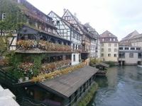 prächtig, der Blumenschmuck