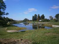 Ein Bild ländlicher Idylle