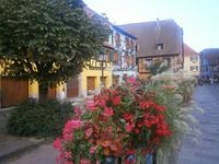 Wohin man schaut, Blumen über Blumen