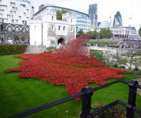 Blick auf das Kunstwerk 