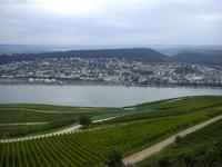 Blick auf den Rhein vom Niederwalddenkmal