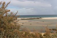 Naturschutzgebiet Ria Formosa 