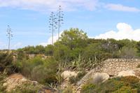 Ausblick während der Küstenwanderung
