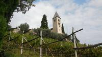 Weinstrasse St. Jakob in Kastellaz