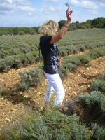 seht her alles nur noch Kraut - die Ernte ist vorbei