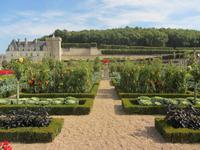 Im Schlosspark von Villandry