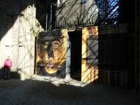 Es wird viel gebaut auf Cashel