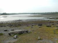 Es wird schlammig im Coole Park