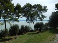 am Trasimenosee
