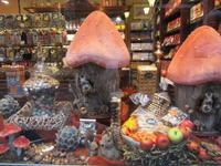 Stadtführung in Brüssel -Galerie Saint-Hubert