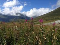 350Noch in Frankreich-Col de Puymorens