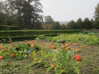 Chateau d`Annevoie
