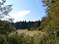 unterwegs auf dem Leska Lehrpfad