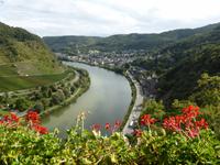 Cochem - Blick ins Moseltal von Reichsburg 