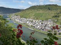 Cochem - Blick ins Moseltal von Reichsburg 
