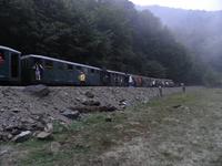 Waldbahn im Wassertal