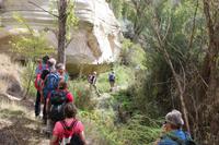 Wanderung durch Gomeda