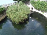 Artusaquelle in Syrakus