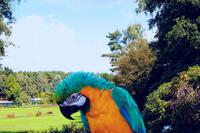 167 Vogelpark Walsrode