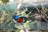 189 Vogelpark Walsrode
