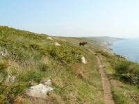 Wanderung zu Pointe du Raz