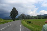 SAM_0950
