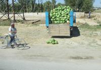 Fahrt nach Samarkand