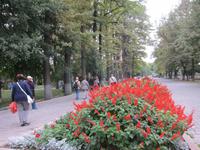 Stadtrundgang Bishkek - im Eichenpark