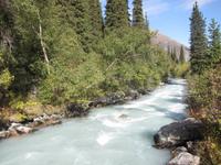 im Ala Artscha Naturpark