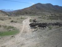 in der Jeti Oguz Schlucht