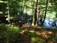 Plitwitzer Seen