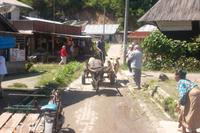 Batak-Karo-Dorf